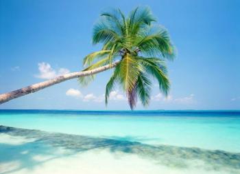 Viaja al Caribe estas vacaciones al mejor precio! para reservas hasta del 30 de Abril